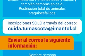 CHIP PET 2025 3.0.jpg